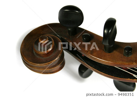 Cello Scroll Detail 9498351
