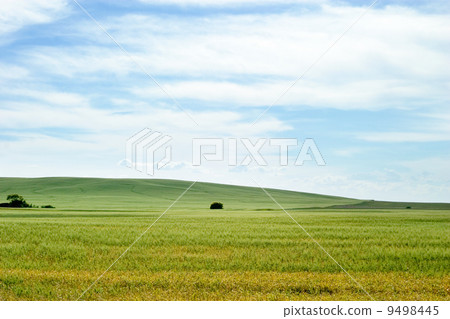 Prairie Landscape 9498445