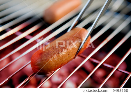 Hotdog Hotdog 9498568
