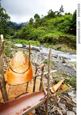 Sago Production Sago Production 9498609