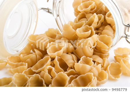 Sea Shell Pasta Sea Shell Pasta 9498779