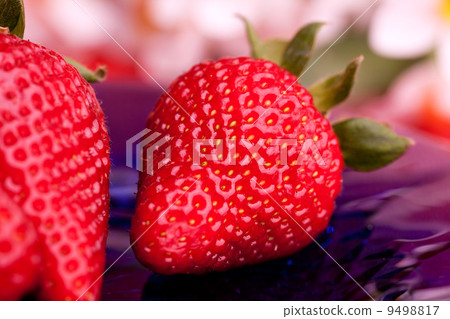 Strawberry Outdoor 9498817
