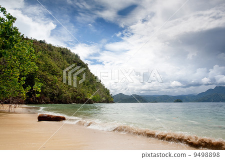 Beach Paradise 9498898