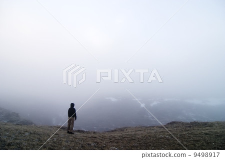 Fog Walk Fog Walk 9498917