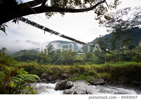 Hanging Bridge Suspension 9499007