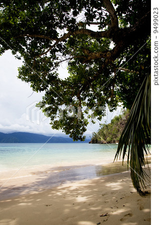 Beach Paradise Beach Paradise 9499023