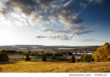 Rural Landscape Rural Landscape 9499122