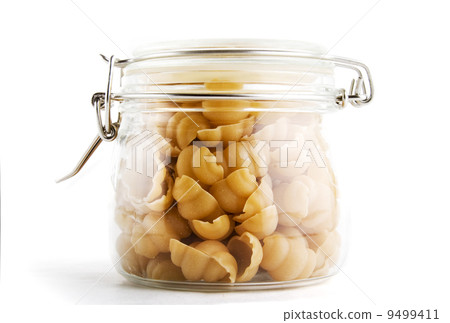Sea Shell Pasta 9499411