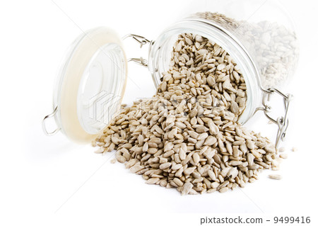 Bulk Sunflower Seeds Bulk Sunflower Seeds 9499416
