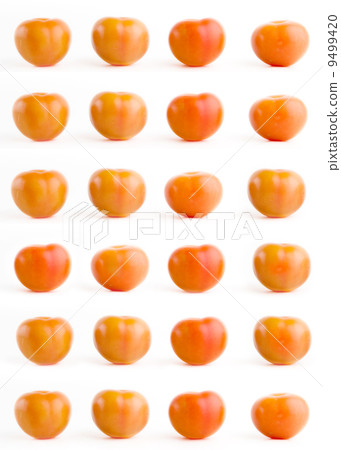 Tomato Background Tomato Background 9499420