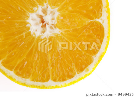 Orange Slice Detail Orange Slice Detail 9499425