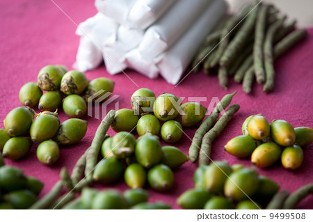 Areca Nut Areca Nut 9499508