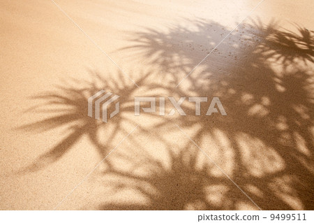 Wet Sand Background Wet Sand Background 9499511