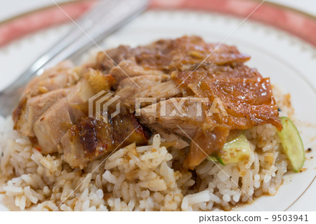 Close up crispy pork 9503941
