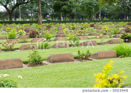 Graveyard Graveyard 9503949