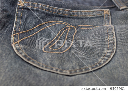 Jean 9503981