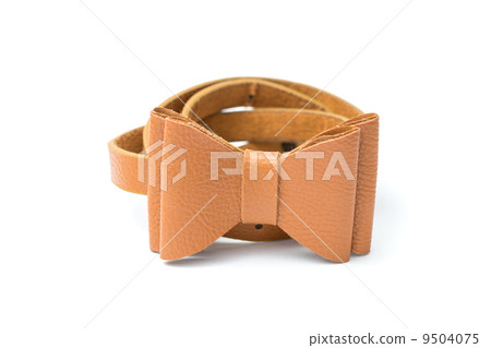 Brown belt Brown belt 9504075