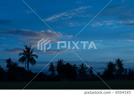 Amazing evening 9504585