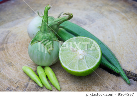 Food ingredient 9504597