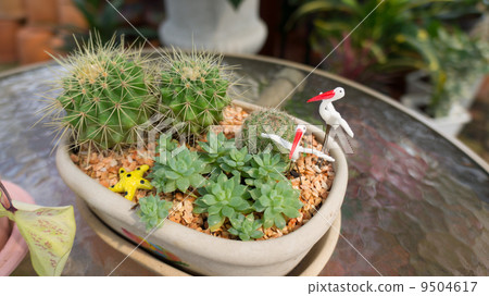Mini garden Mini garden 9504617