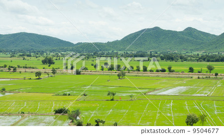 Mountain scape 9504677