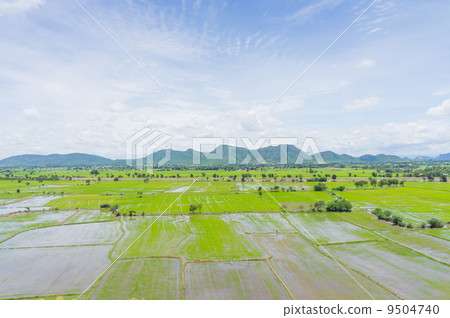 Asian scene Asian scene 9504740