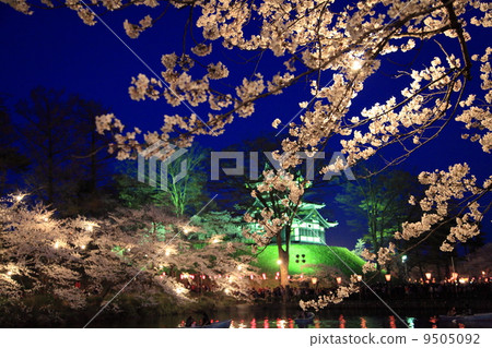 高田公園的櫻花 高田公園的櫻花 9505092