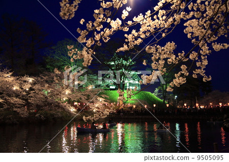 高田公園的櫻花 高田公園的櫻花 9505095