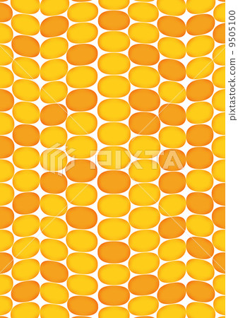 玉米 玉米 9505100