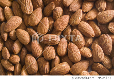 Almond Almond 9505144