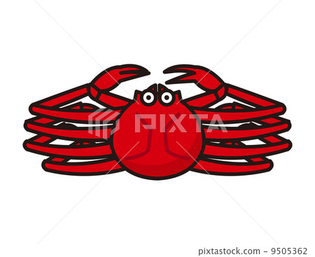 Snow crab Snow crab 9505362