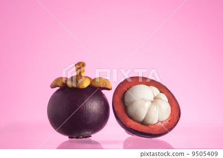 Tropical mangosteen fruits, queen of fruits 9505409
