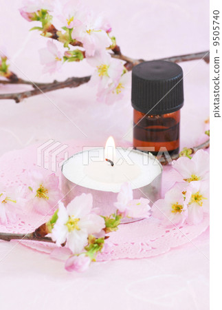櫻花和香薰蠟燭 9505740