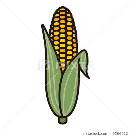 玉米 9506012