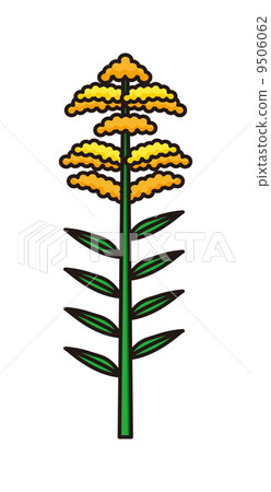 豚草 豚草 9506062