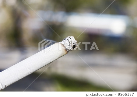 Cigarette Cigarette 9506157
