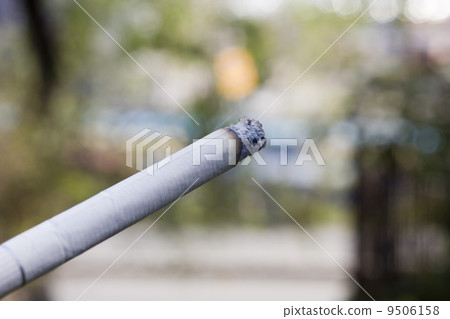 Cigarette Cigarette 9506158