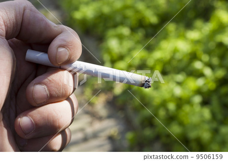 Cigarette Cigarette 9506159