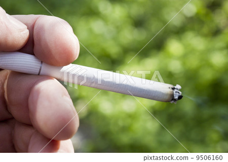 Cigarette Cigarette 9506160