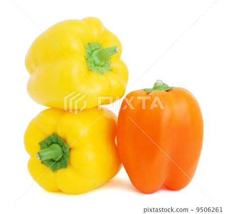 Bell Peppers 9506261