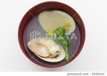 Sorcery of a frenzy 9506524