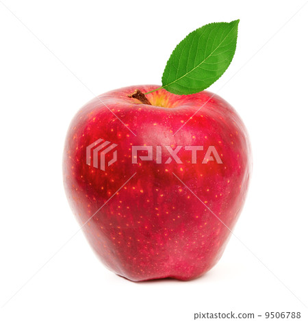 red apple with leaf red apple with leaf 9506788