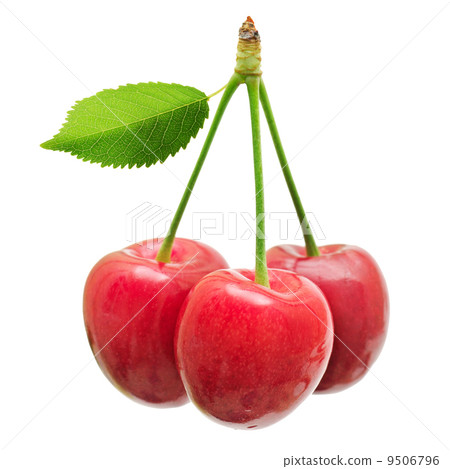 sweet cherries sweet cherries 9506796