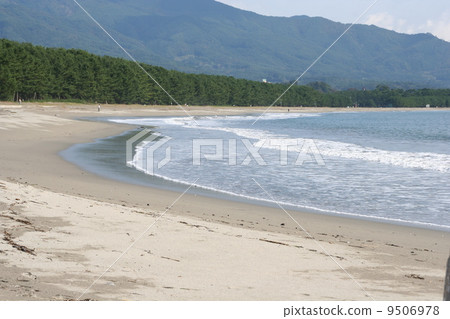 Takada Matsubara（2005） 9506978