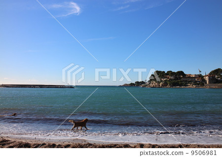 海 大海 海洋 9506981