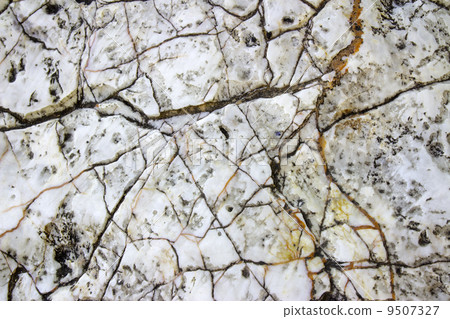 texture of the wall for background 9507327