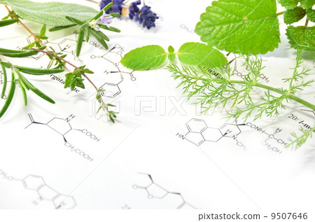 Herbs and science Herbs and science 9507646