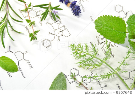 Herbs and science 9507648