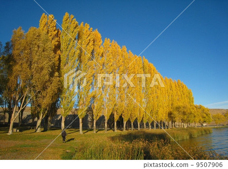 moses lake, seattle, park 9507906