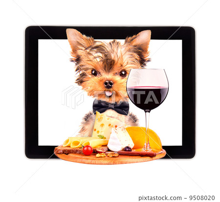 dog holding tray with food on tablet 9508020